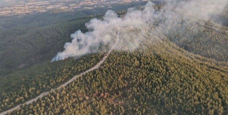 Lapseki'de orman yangını