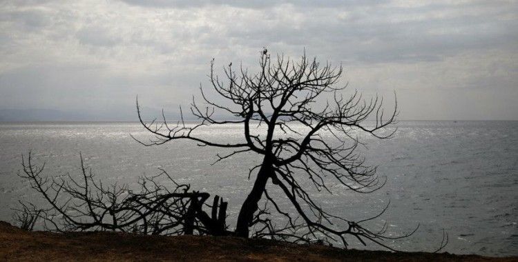 İtalya'da şiddetli rüzgarın devirdiği ağaç 2 kız çocuğunun ölümüne neden oldu