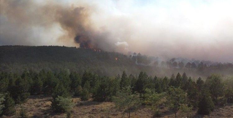 Tarım ve Orman Bakanı Pakdemirli: Denizli'nin Çardak ilçesindeki yangın tamamen kontrol altına alındı