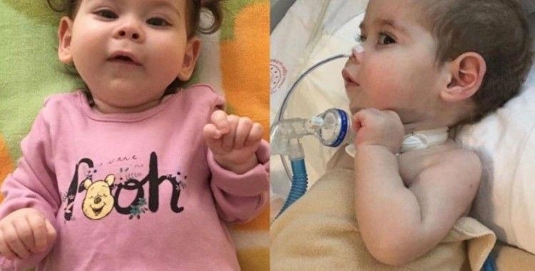 SMA hastası 1 yaşındaki Zeynep İnci için yardım çağrısı