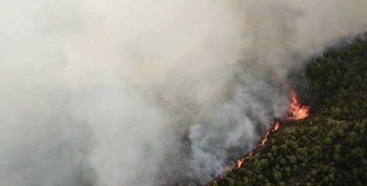 Samandağ'da orman yangını drone ile havadan görüntülendi