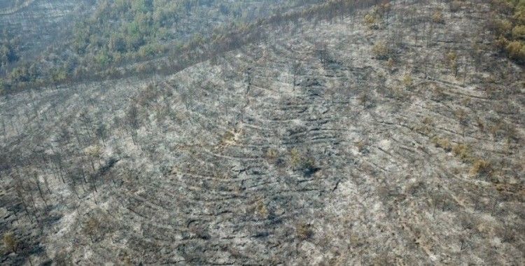 Hatay’daki yangında zarar gören orman alanları drone ile görüntülendi