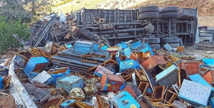 Malatya'da arı kovanı ve bal yüklü kamyon devrildi: 3 ölü