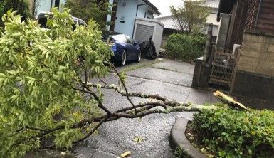 Haishen Tayfunu Japonya'da hayatı felç etti