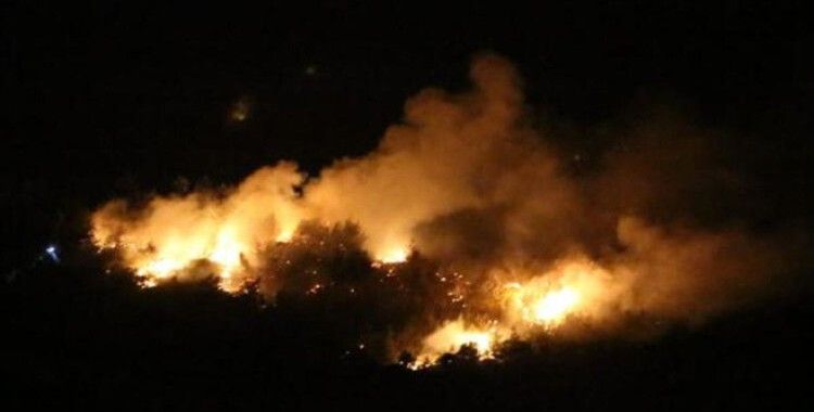 Kozan'daki orman yangını söndürüldü