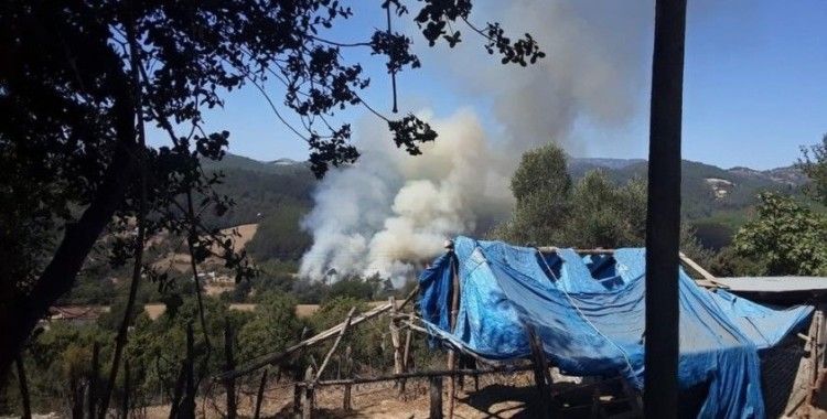 Kozan’da orman yangını çıktı