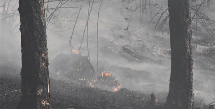 Bakan Pakdemirli: Bugün başlayan 11 orman yangınının 10'unu kontrol altına aldık