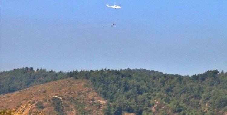 Tarım ve Orman Bakanı Pakdemirli: Hatay'daki orman yangını kontrol altına alındı