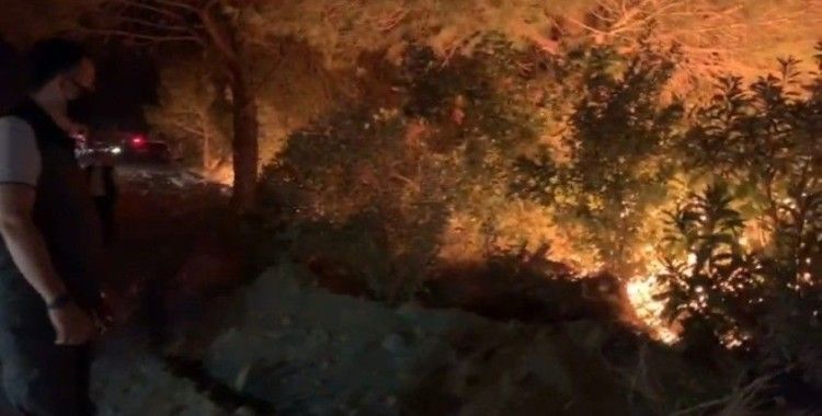 Hatay’daki orman yangınıyla ilgili 1 kişi gözaltına alındı
