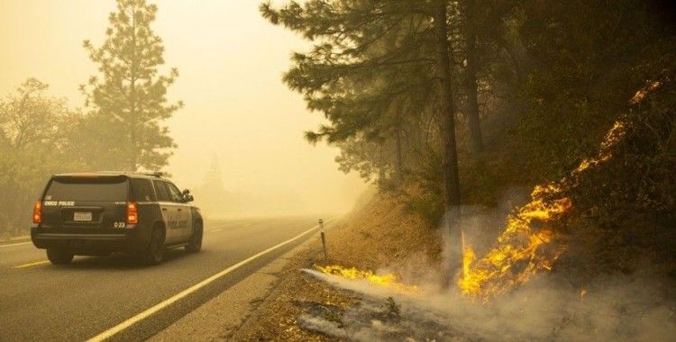 ABD'deki orman yangınlarında ölü sayısı 23'e yükseldi