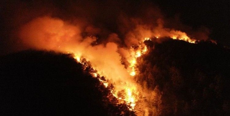 Pozantı'daki orman yangınına müdahale devam ediyor