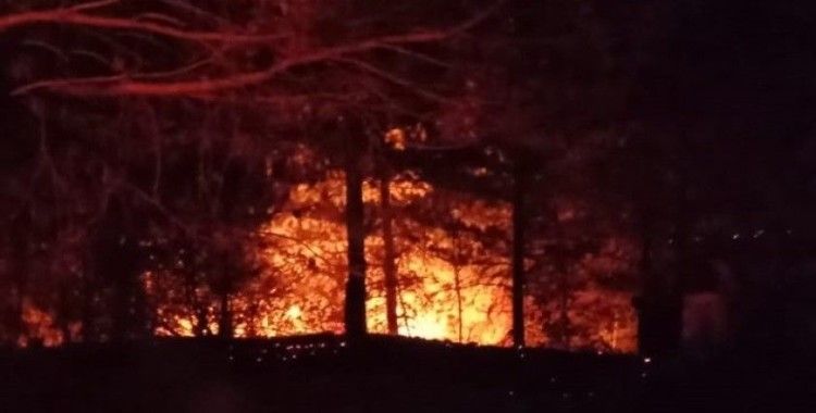 Kastamonu'da ağaçlık alanda çıkan yangın 3 saatte söndürülebildi