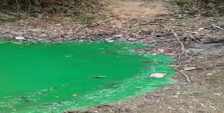 Sultangazi'de baraj suyu yeşile döndü