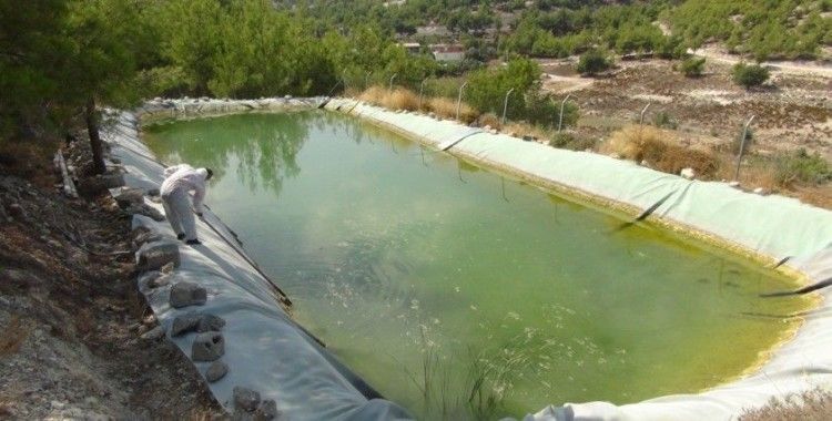 Mersin'de sulama havuzunda ölüm