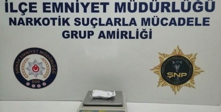 Şırnak'ta kaçakçılık operasyonu: 29 gözaltı