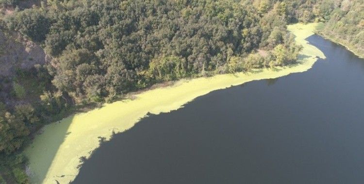 Elmalı Barajı'nın suyu yine yeşile döndü