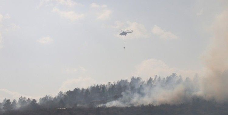  Bolu’da yangın 40 hektarlık alanda etkili oluyor