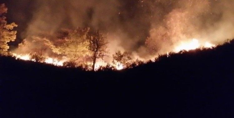  Düzce’de orman yangınına müdahale sürüyor