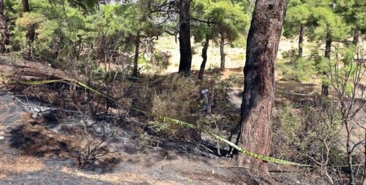 Ormanlık alanda bulunan cesedin CHP'li eski ilçe başkanına ait olduğu ortaya çıktı