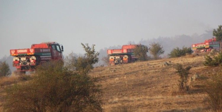 Bolu'da, 40 hektarlık alanda etkili olan orman yangını kontrol altına alındı