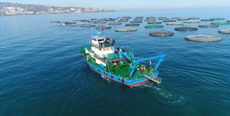 Trabzon'dan 8 ayda 676,8 milyon dolarlık ihracat yapıldı