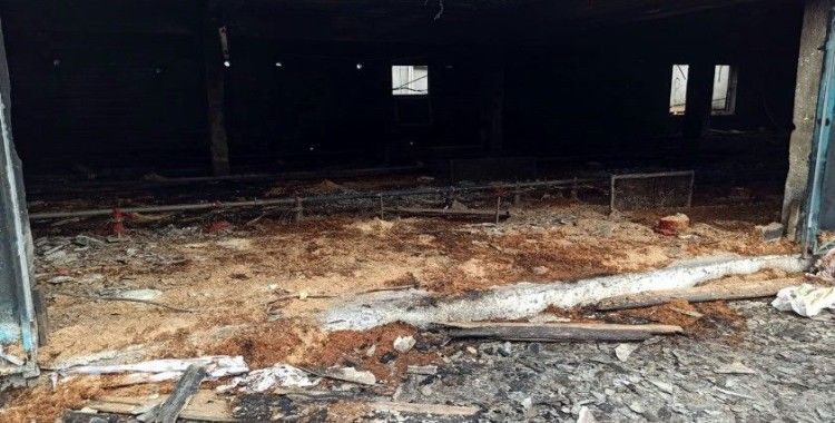 30 bin civciv için hazırlık yapılan kümes alev alev yandı