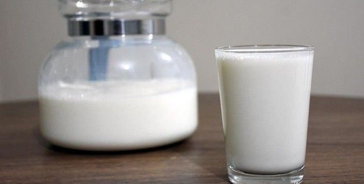 Veterinerlerden, 'süt fiyatları süt-yem paritesiyle uyumlu olsun' talebi
