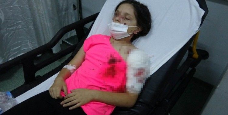 Samsun'da pitbull dehşeti: 11 yaşındaki kız çocuğu kanlar içerisinde kaldı