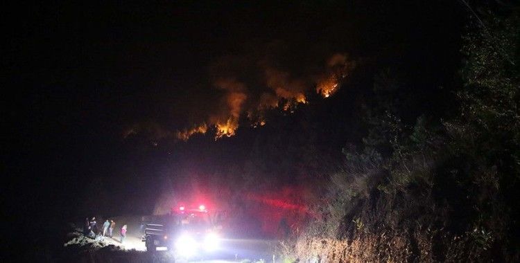Kastamonu'da çıkan orman yangınına müdahale ediliyor