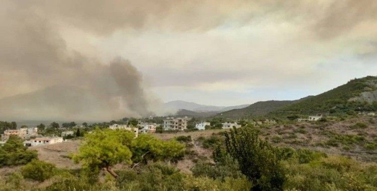 Suriye’de orman yangını çıktı, dumanı Samandağ’ı kapladı