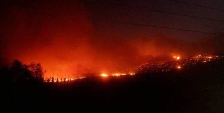 Suriye'deki orman yangınları kontrol altına alınamıyor