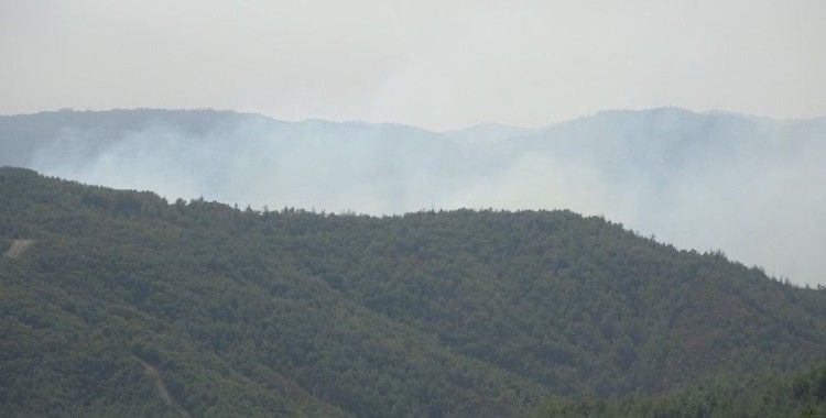 Hatay'ın Suriye sınırında orman yangını