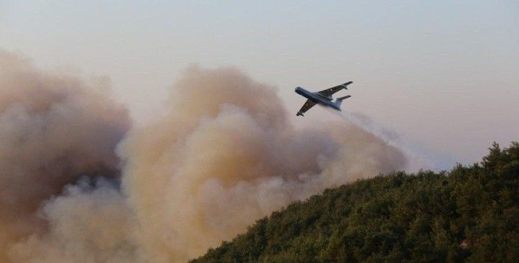 Hatay'daki orman yangınında 300 hektar alan zarar gördü