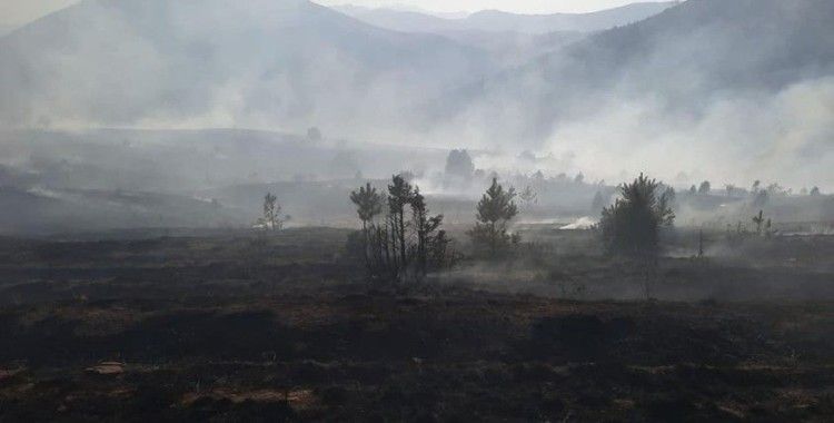 Kayseri'de çıkan yangında 20 hektarlık alan kül oldu