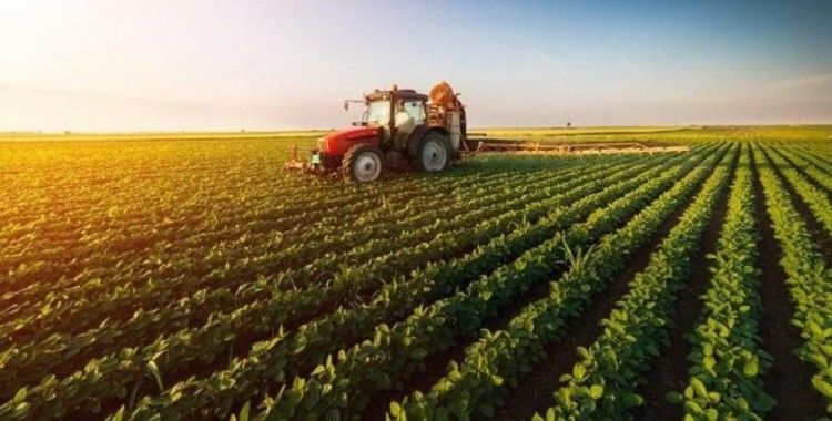 Tarım-ÜFE yıllık yüzde 18,48, aylık yüzde 2,56 arttı