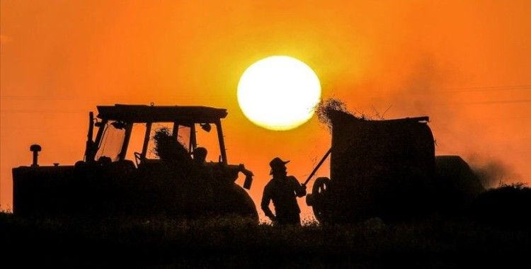 Danıştaydan Çiftçi Malları Koruma Başkanlığı sisteminden ayrılmak isteyen çiftçileri ilgilendiren karar