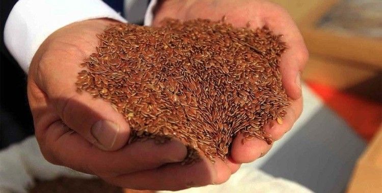 Türkiye'nin ilk yerli ve milli liflik keten tohumu 'Yılmaz' toprakla buluştu