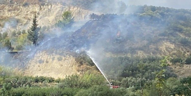 Samandağ'da bitki örtüsü yangını