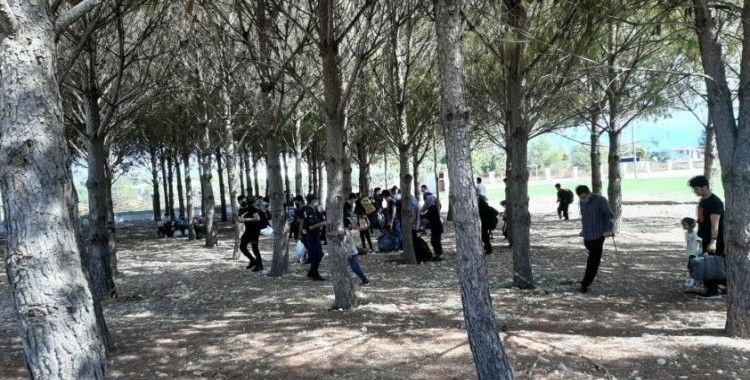 Seydikemer'de 75 düzensiz göçmen yakalandı