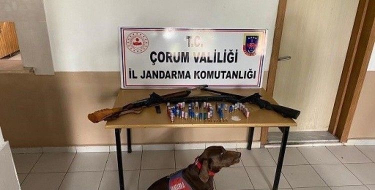 Jandarma'dan silah operasyonu