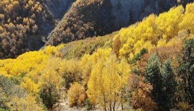 Erzincan'da sonbaharda renk cümbüşü