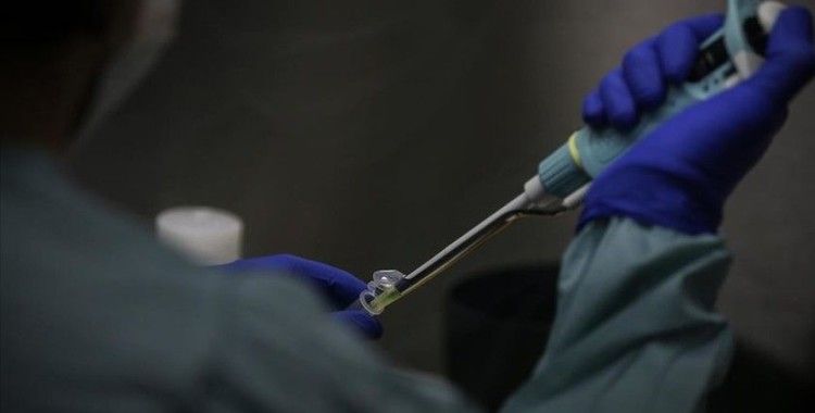 Selçuk Üniversitesinde Kovid-19 aşısının hayvan deneyleri tamamlandı