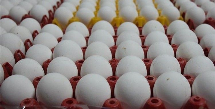 Yumurta fiyatlarında 'denge' hesapları