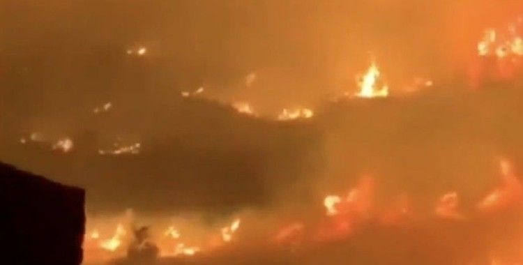 Suudi Arabistan'da dağlık alanda büyük orman yangını