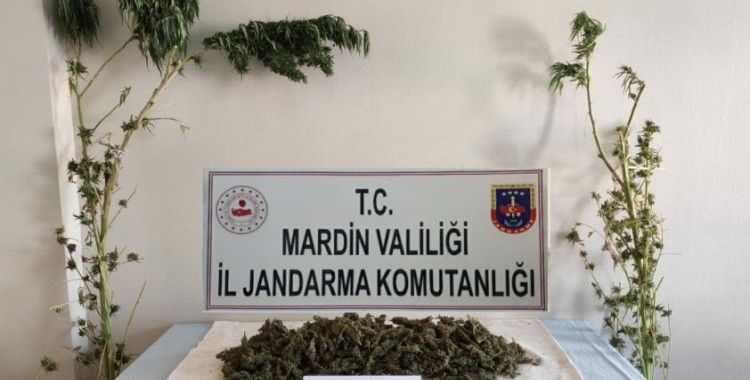 Mardin'de uyuşturucu operasyonu