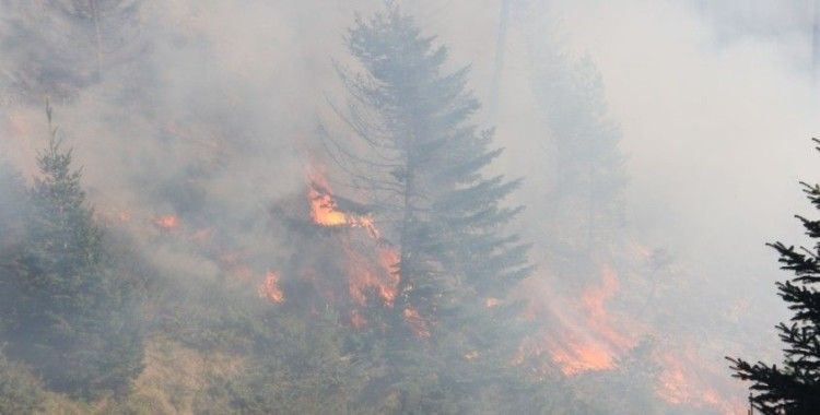 3 gündür devam eden orman yangını yayla evlerine kadar ulaştı
