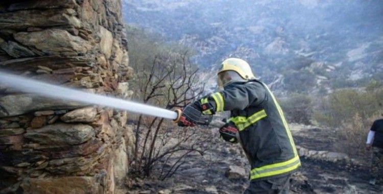 Suudi Arabistan'da orman yangını sürüyor
