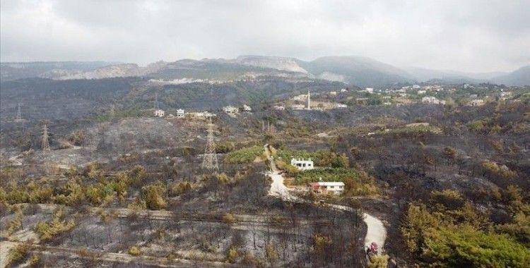 Hatay'daki orman yangınında zarar gören alanlar havadan görüntülendi