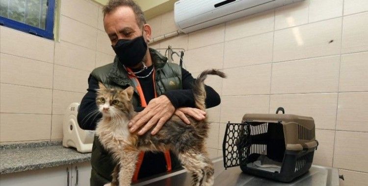 İzmir'deki depremde enkazdan çıkarılan kedilerden birini Haluk Levent sahiplendi