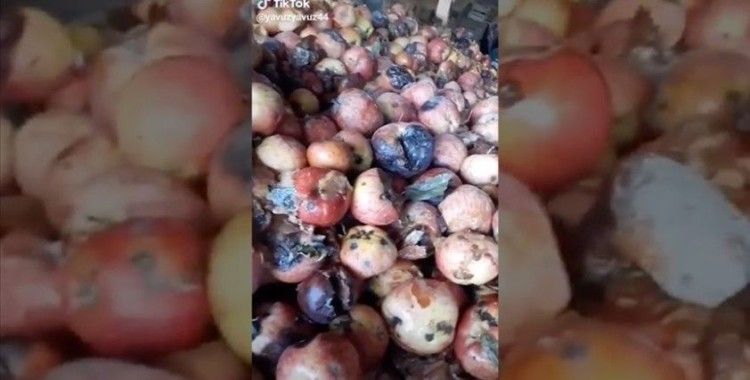 Tarım ve Orman Bakanlığından 'çürük elma' videosuna inceleme